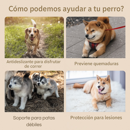 Patitas Protectoras🐾