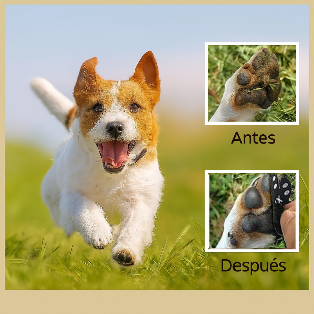 Patitas Protectoras🐾